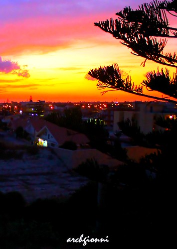 city trees sunset sky italy alberi clouds lights italia tramonto nuvole cielo sicily luci sicilia città