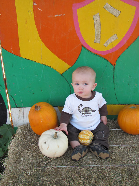 Pumpking Patch with Evan