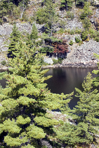 autumn cliff usa lake tree fall water rock pine mi forest unitedstates michigan slide echolake buckroe