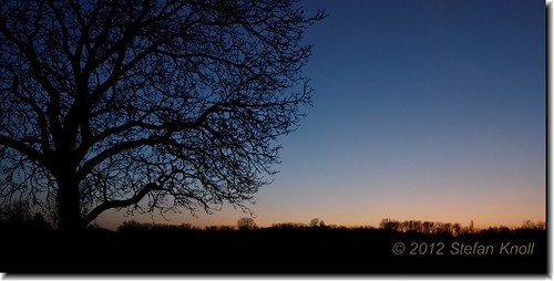 sunset tree silhouette landscape geotagged deutschland rust sonnenuntergang availablelight himmel tokina baden landschaft sonne deu gegenlicht blauestunde badenwürttemberg taubergiessen nikond80 geo:lon=771248817 geo:lat=4828027990