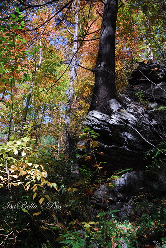 autumncolorsleavespalettetreesnaturerocksskylandscapesannarubyfallshelengeorgiamountains