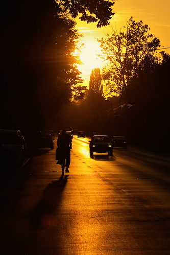 road light sunset shadow people tree car bicycle duo tone sabin usabin
