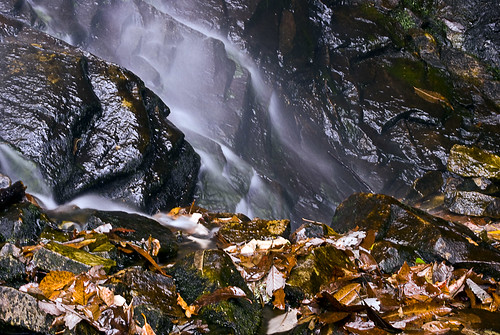 autumn fall wet water leaves virginia waterfalls slowshutter smoky stonemountain rosehill leecounty nikond60 whitebranchfalls kjerrellimages