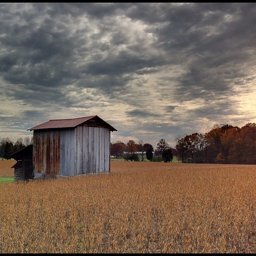 fall clouds farm northcarolina hdr soybeans daviecountync