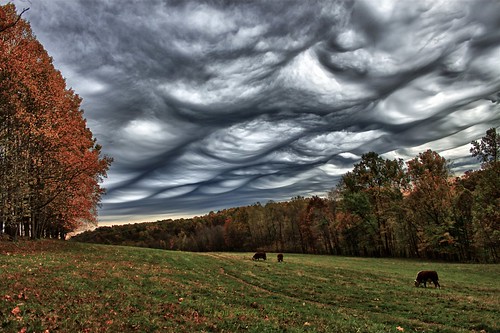 autumn ohio fall clouds rural october cows cloudy farm surreal unusual hdr mostlycloudy photomatix ruralohio asperatus asperatusclouds