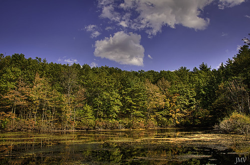 walden pond water concord massachusetts tractor fall autumn sky clouds hdr tonemapped nikon d90 abandoned field otoño herbst autunno green red nature trip travel foliage denoise topaz adjust photoshop cs4 high dynamic range colour sunny leaves ojas usa sunlight 秋 枝葉