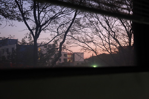 morning trees building window view morningsky