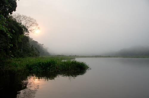 morning trees lake peru silhouette sunrise amazon rainforest oxbow tambopata