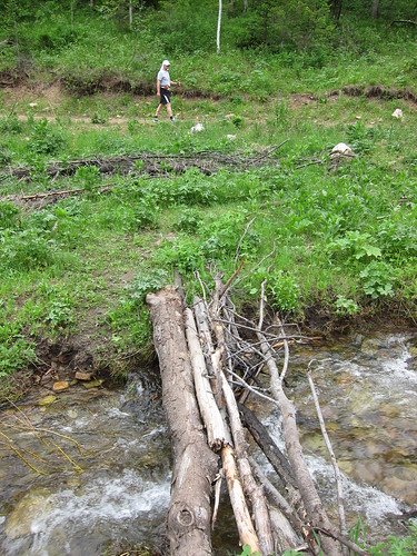 crossing a stream, stream, creek, water, mo… IMG_6863