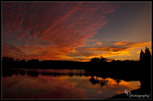 pink trees sunset orange sun lake reflection water yellow night clouds twilight nikon nikond90 wesleychapelfl aberdeenlakes