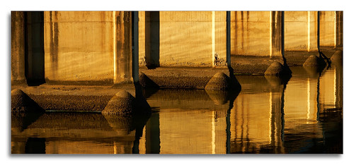 bridge sunset reflection water sunrise river structure coomera 1ds2 pixelpix canontse24mmf35lii adpotd