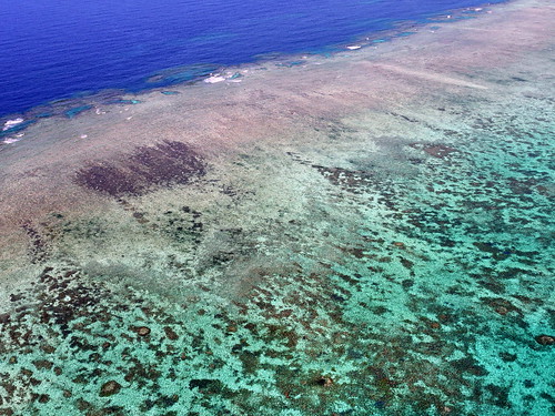 澳洲大堡礁。（圖：Dai Fujihara）