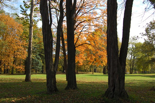 autumn ohio fall clevelandmetroparks