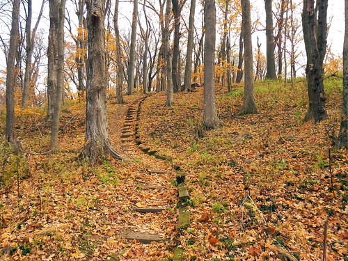 kentucky henderson johnjamesaudubonstatepark