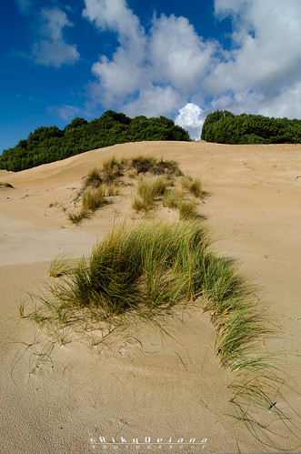 sardegna sand dune spiaggia sardinya domusdemaria sugiudeu beachchia bwbeachchiadomusdemariadunesandsardegnasardinyaspiaggiasugiudeu riccardodeiana