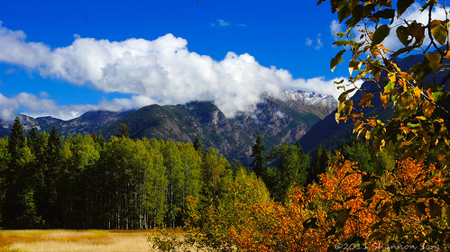 trees mountain fall colors weather montana sony foliage northwestern dslr clounds tamronlens