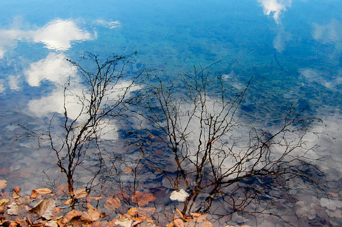 travel blue autumn lake reflection fall water mirror see nikon europe branch croatia surface foliage croazia croacia gettyimages hrvatska plitvice kroatien jezero plitvicelakesnationalpark d40