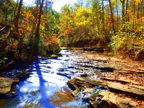 autumn fall nature water