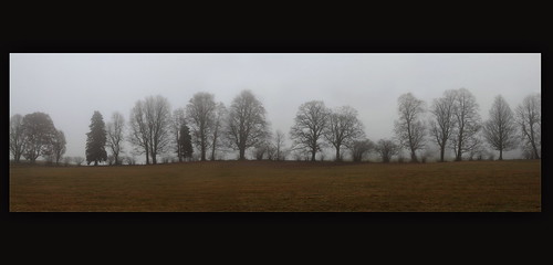 november panorama tree silhouette fog germany bayern deutschland bavaria nebel panoramic photomerge bäume allgäu
