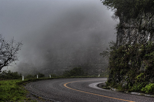 road naturaleza mountain nature fog clouds forest landscape mexico landscapes carretera paisaje route bosque nubes tamaulipas montaña neblina niebla ciudadvictoria