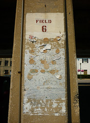 Field 6
