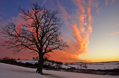 sunset sky tree silhouette landscape derbyshire jimbell pentaxk10d mygearandme