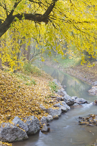 autumn water leaves straubing allachbach