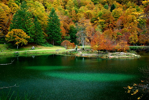 automne lac pyrénées étang pirineos ariège hêtre hêtraie couserans