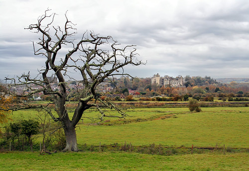 uk autumn england tree heritage fall clouds town westsussex unitedkingdom meadows deadtree fields historical greyday arundel touristattraction arundelcastle larigan phamilton welcomeuk licensedwithgettyimages