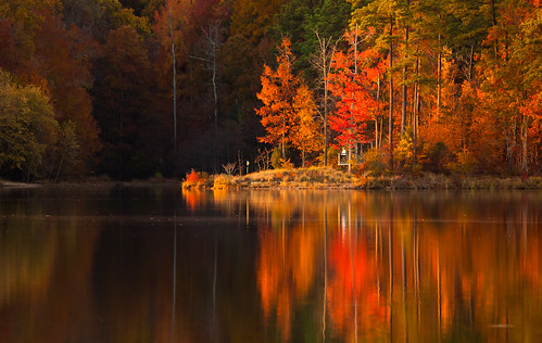 autumn lake foliage deck peninsula