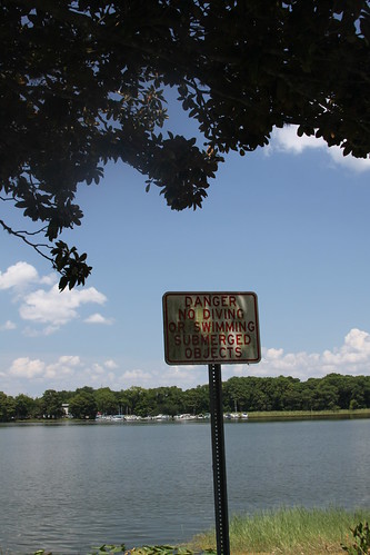 lake sign gators submerged