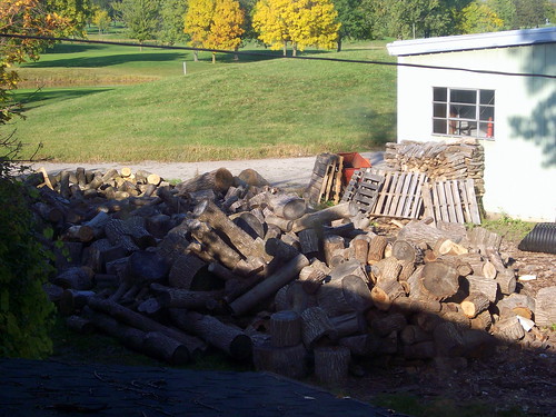 wood building grass wisconsin architecture golf landscape golfing golfcourse powerline countryclub pallet pallets wi oshkosh woodpile electricline foxrivervalley foxcities colfcourse foxrivercities lakeshoremunicipal