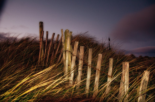 beach grass fence evening lowlight friday fav10 bertra fencefriday landscapebertrafence