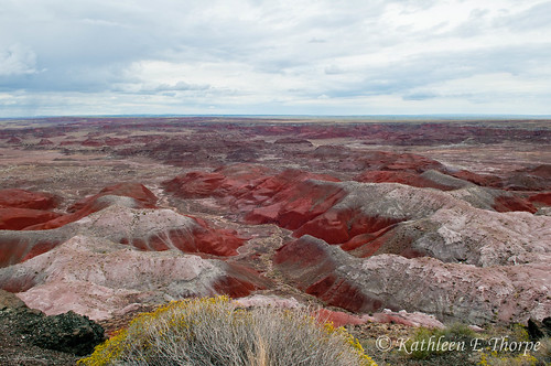 arizona southwest landscape painteddesert vista