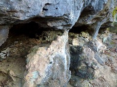 Miniature Caves in the Bluffs Along Alley Spring