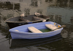 small boats and birds