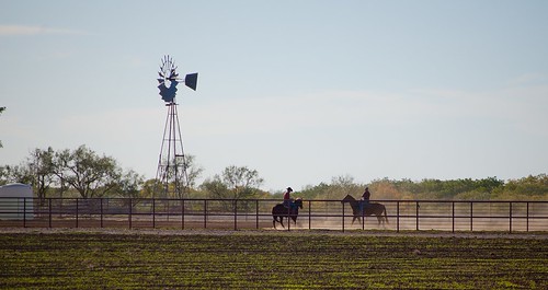 fall windmill cowboy texas