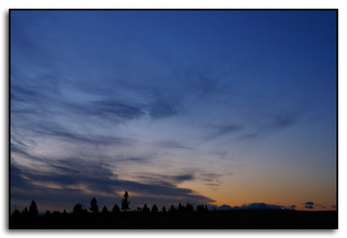 trees sunset color silhouette clouds washington creston