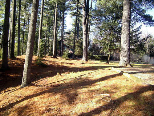 camping trees camp mountain lake ny newyork mountains rural pond cabin woods long lakes adirondacks adirondack duane malone longpond duaneny longpondcamp