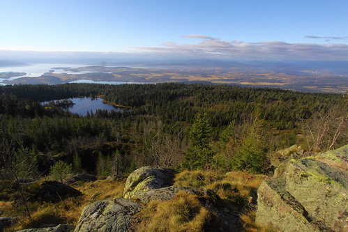 panorama nature scenery view krokskogen steinsfjorden