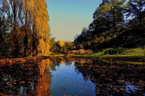 autumn france automne season countryside pond campagne reflets lanscape étang mayenne réflection communedechangé