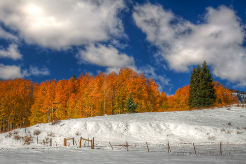 autumn trees orange snow mountains yellow pine clouds contrast fence landscape colorado cloudy aspen cumbres