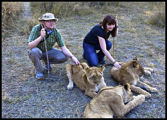 Two tourists petting lions