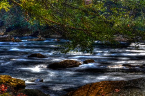 motion green water pine flow wv rhododendron hdr audra