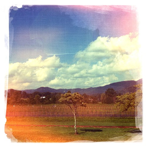 trees mountains landscape contrails iphoneography hipstamatic chunkylens