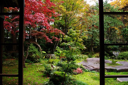 autumn color japan museum garden leaf pentax 日本 niigata 紅葉 residence 庭 nagaoka 美術館 新潟 k7 もみじ 長岡 2011 ペンタックス 中野邸