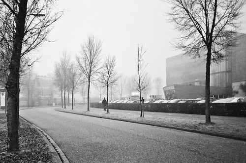 street morning winter mist photography olympus eindhoven hp5 xa ilford believeinfilm andrewchristanto