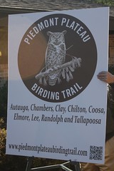 Piedmont Birding Trail At Horseshoe Bend Park  - 25