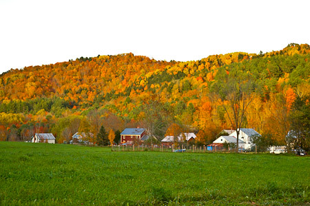autumn houses mountain fall colors leaves forest october vermont hill north foliage vt randolph