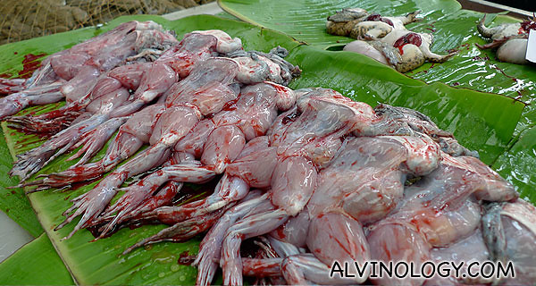 Close-up of the bloodied, skinned frogs
